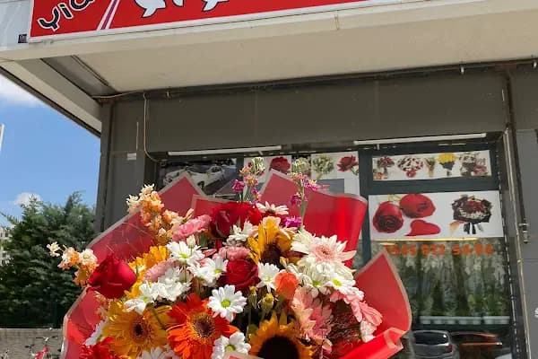 Yiğit Çiçekçilik (Flowers) - Çiçekçi - Konya Selçuklu