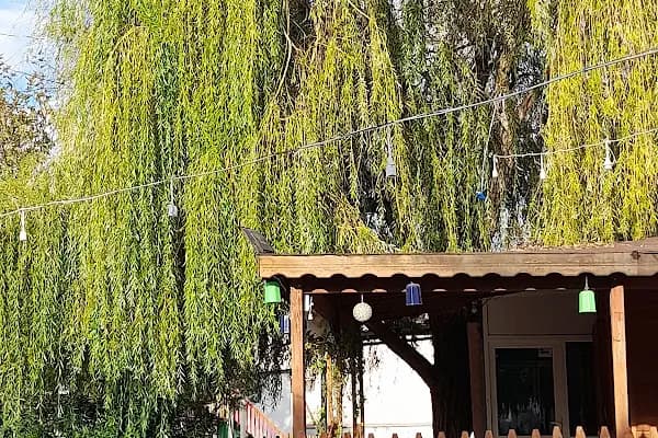 Park Düğün Salonu - Düğün Salonu - Balıkesir Susurluk