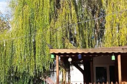 Park Düğün Salonu