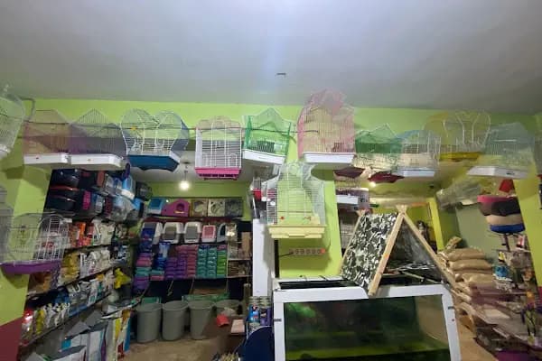YENİDOĞAN PETSHOP - Kuşçu - Bursa Karacabey