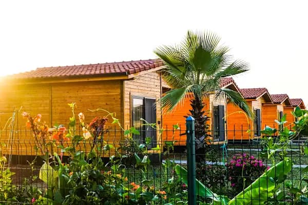 Lemon Garden Lodge - Otel - Antalya Serik