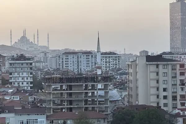Self Hair Clinic - Saç Ekimi - Hair Transplant Turkey - Saç Transplantasyonu Kliniği - İstanbul Fatih