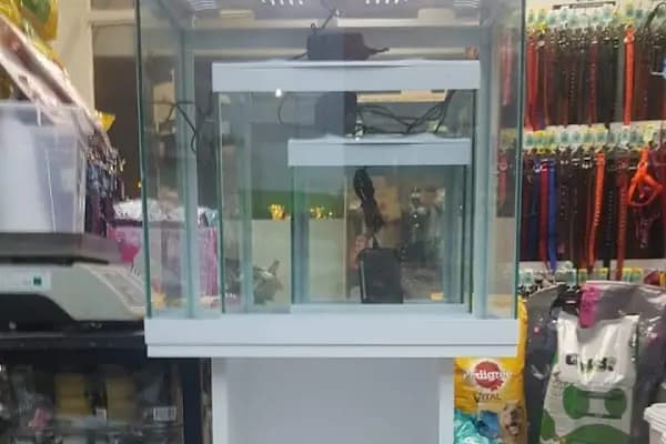 BALIKÇI SUAT PETSHOP AKVARYUM - Evcil hayvan mağazası - Balıkesir Karesi