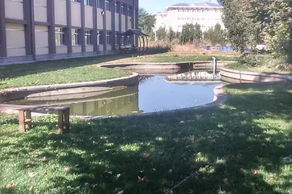 Ankara Üniversitesi Ziraat Fakültesi Bitki Koruma Bölümü - Üniversite - Ankara Keçiören