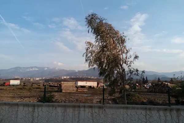 Yuvacık Orman Deposu - Ormancılık Hizmetleri - Kocaeli Derince