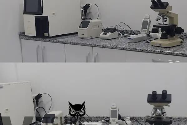 Vetcur Aliağa veteriner polikliniği - Veteriner - İzmir Aliağa
