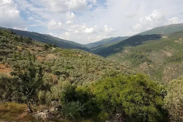 Bayındır - Administrative Area2 - İzmir Bayındır