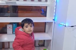 KOCAK GSM
