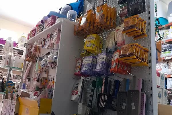 Yağmur Pet Shop - Evcil hayvan mağazası - İstanbul Kartal