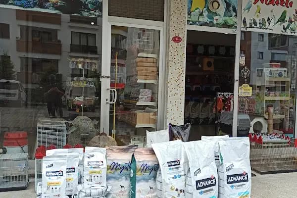 Trabzon yıldızlı petshop - Evcil hayvan mağazası - Trabzon Akçaabat