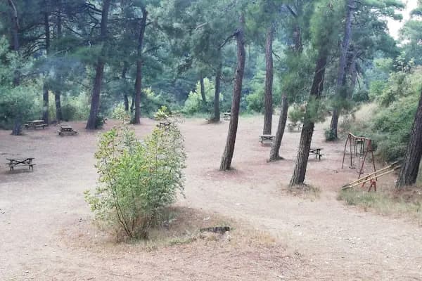Çamlık Piknik Alanı - Park - Bursa Nilüfer