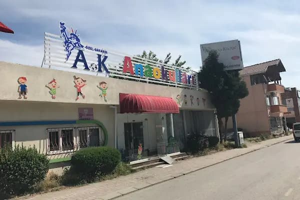 Sakarya Amerikan Kültür Anaokulu - Okul - Sakarya Serdivan