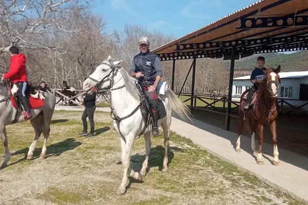 Mavi Oba At Çiftliği Ve Kahvaltı Merkezi - At Binme Hizmeti - Balıkesir Gönen