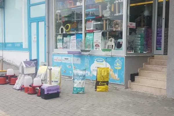 Sönmez Petshop - Evcil hayvan mağazası - Bursa Osmangazi