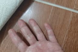 berrak oto ve halı yıkama