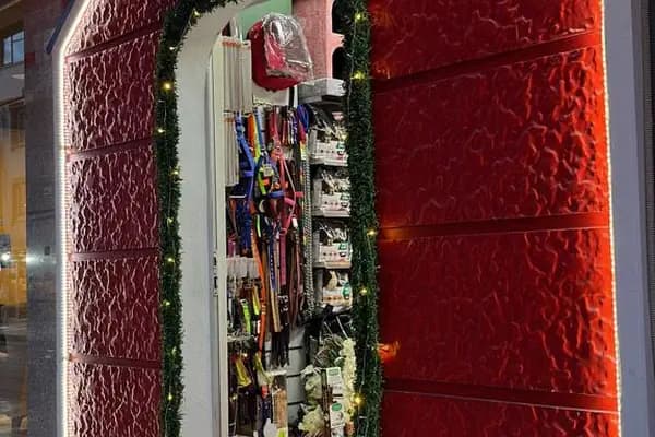 Pet House Manisa - Evcil hayvan mağazası - Manisa Manisa