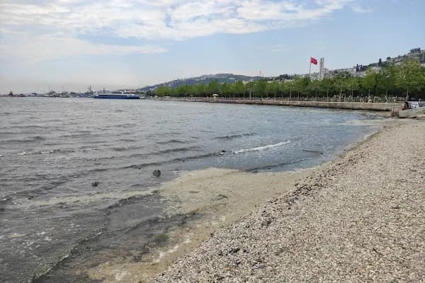 İzmit Sahil - Kafe - Kocaeli İzmit
