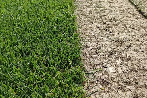 ADAPAZARI RULO ÇİM - Peyzaj Malzemeleri Satıcısı - Sakarya Arifiye