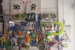 Evcil Pet Shop