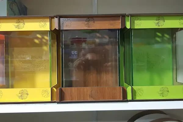 GEMLİK PET DÜNYASI - Evcil Hayvan Malzemeleri Mağazası - Bursa Gürsu