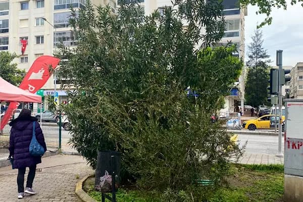 Aka Sabun Kimya Sanayi Ve Ticaret Limited Şirketi - Üretici - İzmir Bayındır