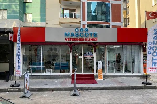 Mascote Veteriner Bornova - Veteriner - İzmir Bornova