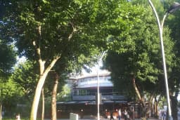 Uluç Optik