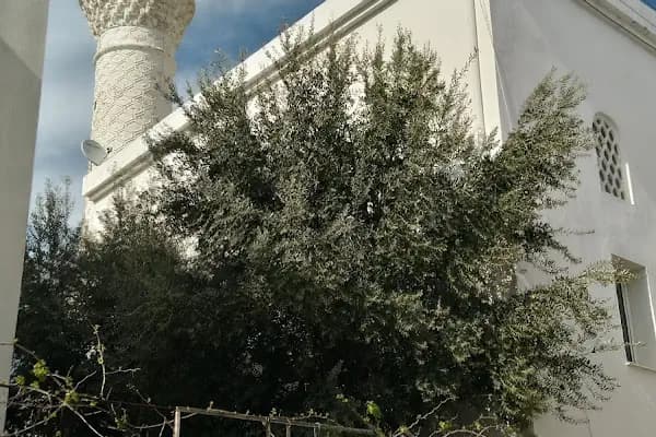 Umurca Cami - Cami - Muğla Marmaris