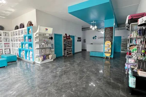 Carnivet Veteriner Kliniği - Veteriner - İstanbul Başakşehir