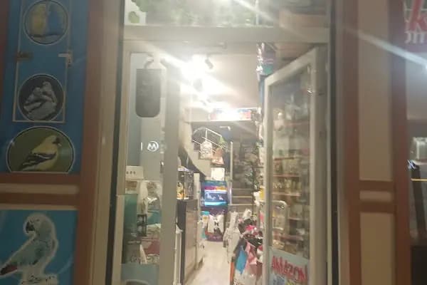 Van Amazon Petshop, Van Petshop - Mağaza - Van İpekyolu