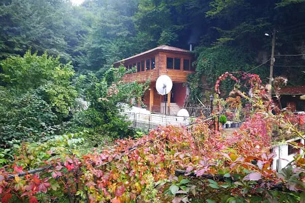 Nüzhetiye Şelalesi Trekking Parkuru - Yürüyüş Alanı - Kocaeli Derince