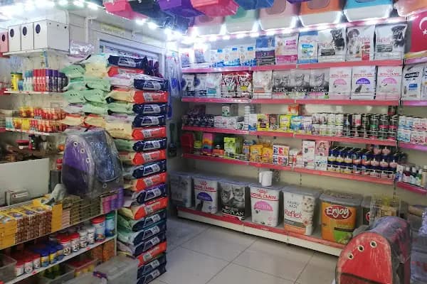 İLKİM PETSHOP - Evcil hayvan mağazası - İstanbul Bayrampaşa