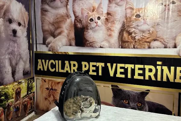 Avcilar Pet Veteriner Kliniǧi - Veteriner İlaçları - Mardin Kızıltepe
