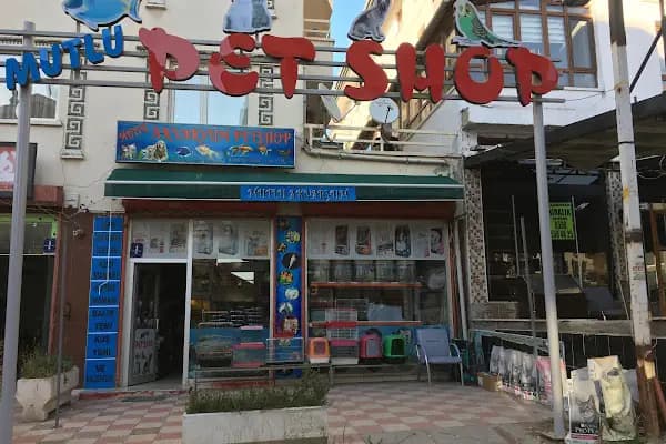 Mutlu akvaryum petshop - Evcil hayvan mağazası - Ankara Kahramankazan