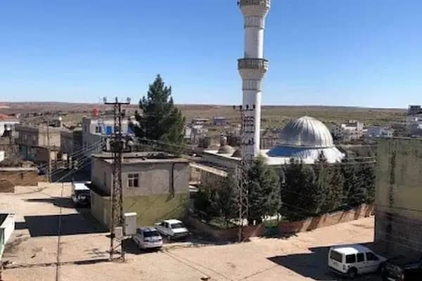 AŞAĞIGÖKLÜ İLKOKULU - Okul - Şanlıurfa Ceylanpınar