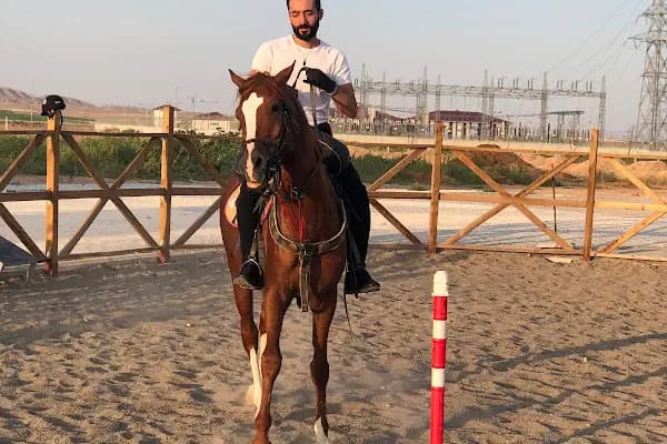 MALATYA ATLI SAFARİ KULÜBÜ - At Binme Hizmeti - Malatya Yazıhan