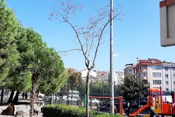 Togay Bayatlı Parkı - Park - İstanbul Avcılar