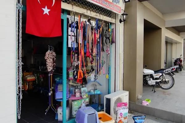 BERGAMA PETSHOP - Evcil Hayvan Malzemeleri Mağazası - İzmir Bergama