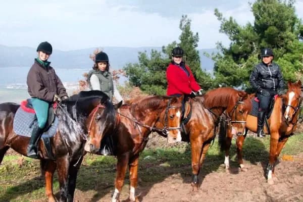 Doğuşlu Binicilik Kulübü - Binicilik Okulu - Bursa Nilüfer