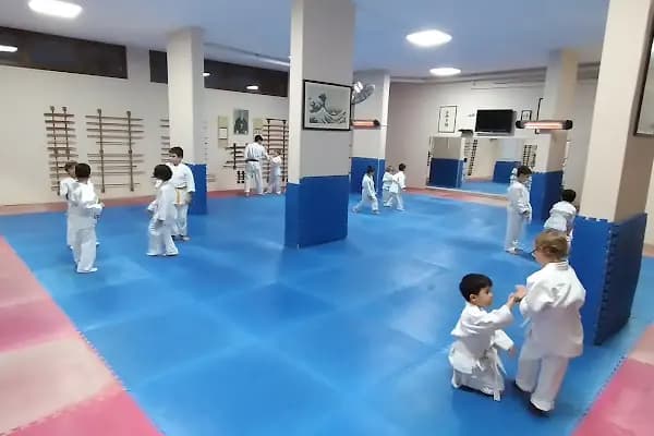 DOĞUKAN DOJO AiKiDO - Aikido Okulu - İstanbul Kadıköy