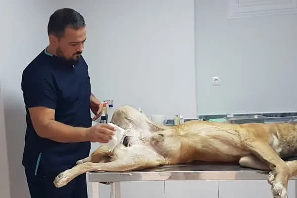 Sertaç Yıldırım Veteriner Kliniği - Veteriner - Adana Kozan