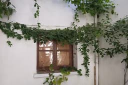 Fındık Pansiyon