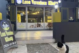 Leon Veteriner Kliniği