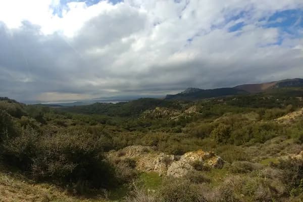 Aşağışakran - Yerleşim Yeri - İzmir Aliağa