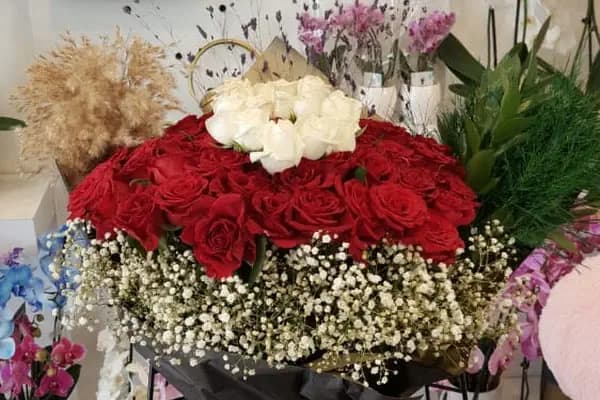 ازهار طبيعي اسطنبول باشاك شهير İkitelli ve Başakşehir çiçekçi Atakent Çiçekçilik - Çiçekçi - İstanbul Küçükçekmece