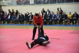 Kung Fu Akademi