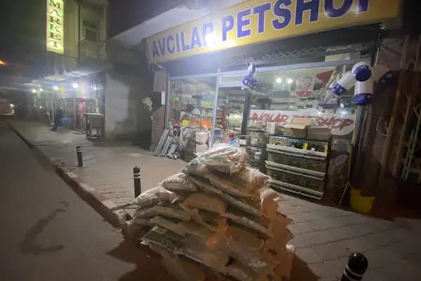 Avcılar Petshop - Evcil hayvan mağazası - Kahramanmaraş Afşin