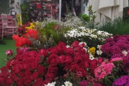 Keçiören sanatoryum Pırıltı Çicek Evi