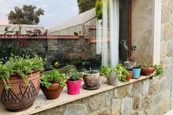 Risus Homes - Konut Geliştirme - Muğla Bodrum