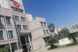 MS DENTAL